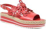 Aldo