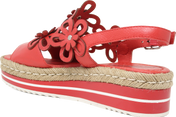 Aldo