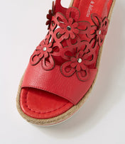 Aldo